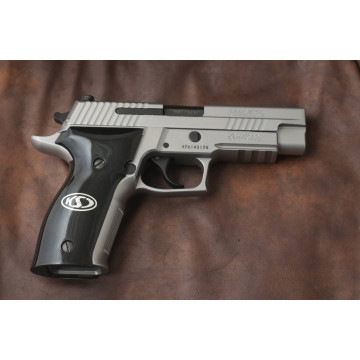 Sig Sauer P226 / P226 SL / P226 Sport / P226 Sport II / P226 Sport II SL / P226 Sport II SL PPC (Acrylic Black) Silver Logo Handgun Grip