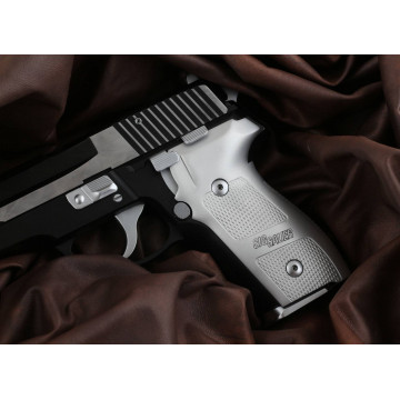 Sig Sauer P228 / P229 (Metal) Lazer Logo Handgun Grip
