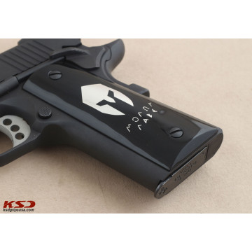 Sig Sauer 1911 TAC Grips